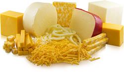 Click to view album: CHEESE