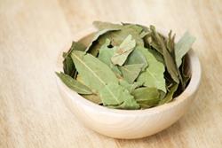 Click to view album: BAY LEAVES